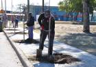 El municipio continúa con el Plan de Reforestación 