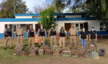 Recuperan 106 aves que estaban en cautiverio en el interior cordobés