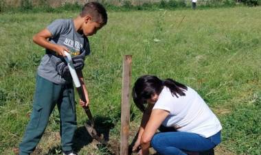 “+ Árboles + Vida”: avanza la creación del nuevo pulmón verde en San Francisco